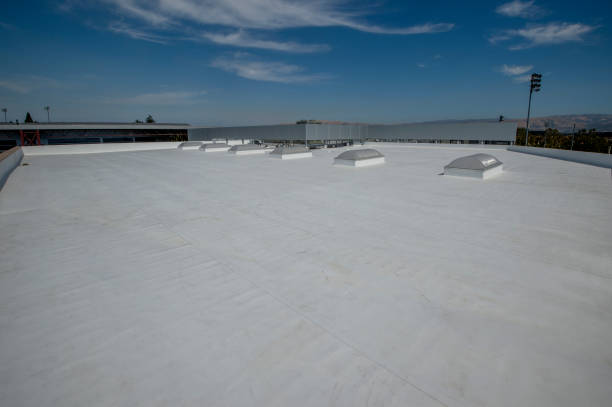 Best Wood Shake Roofing  in Lake Odessa, MI