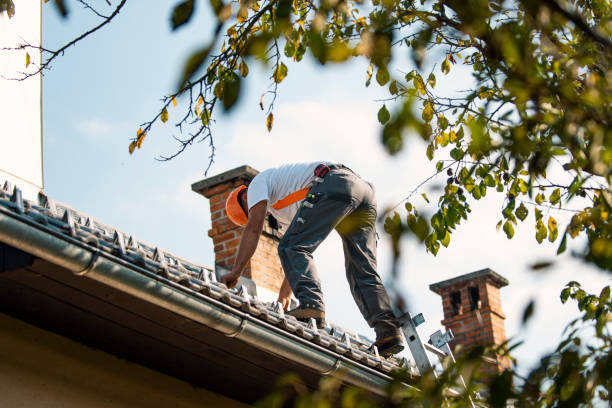 Best Tile Roofing Installation  in Lake Odessa, MI