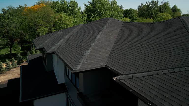 Best Roof Installation  in Lake Odessa, MI