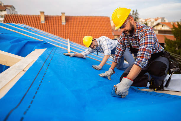 Best Roofing for New Construction  in Lake Odessa, MI