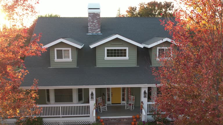 Best Emergency Roof Repair Services  in Lake Odessa, MI