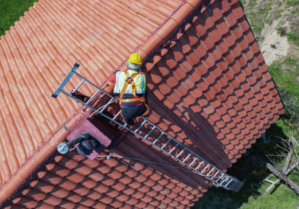 Best Rubber Roofing (EPDM, TPO)  in Lake Odessa, MI