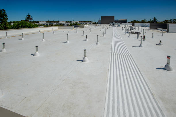 Best 4 Ply Roofing  in Lake Odessa, MI